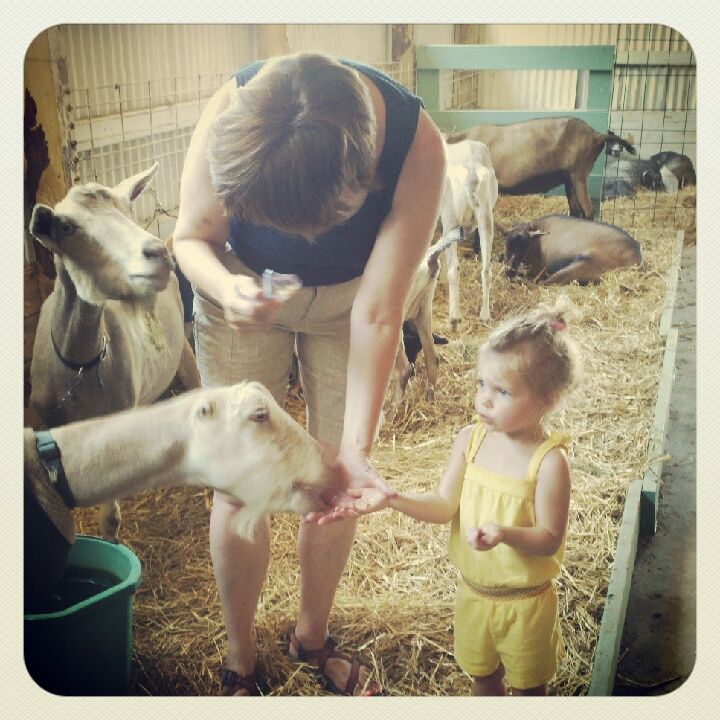 IMG_20120712_123240.