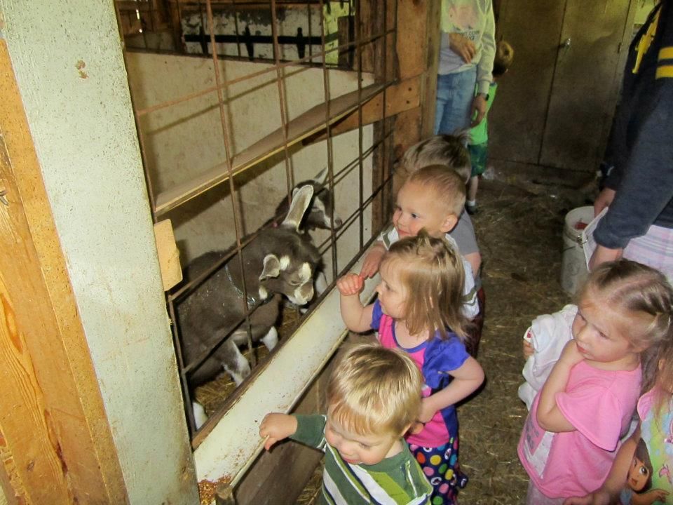 292542_411470762226237_100000899504760_1225587_1533252229_n