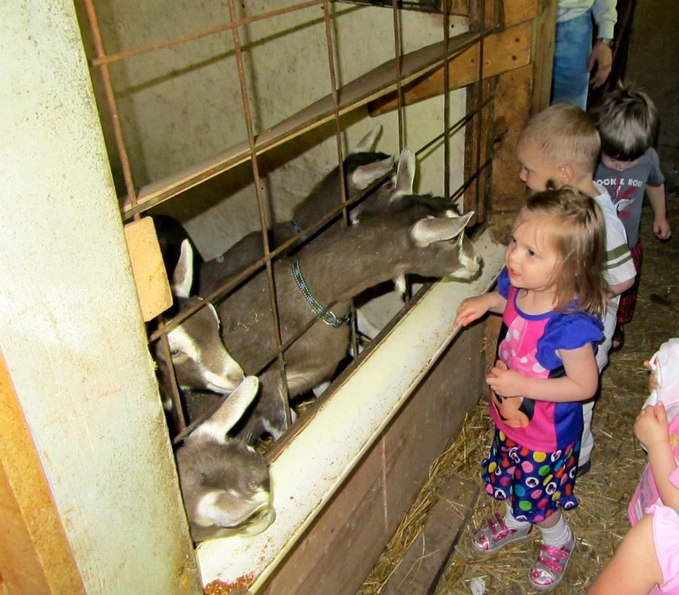 536057_411470732226240_100000899504760_1225586_1329144746_n