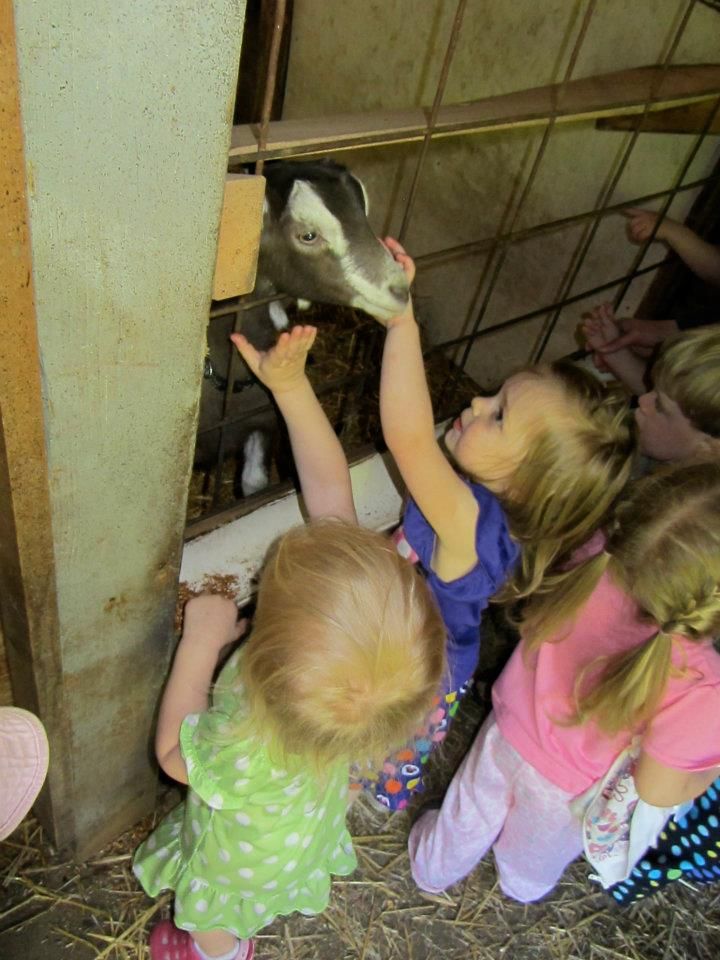 581186_411470935559553_100000899504760_1225593_1000345492_n