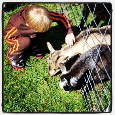  photo null_zps80e3522e.jpg