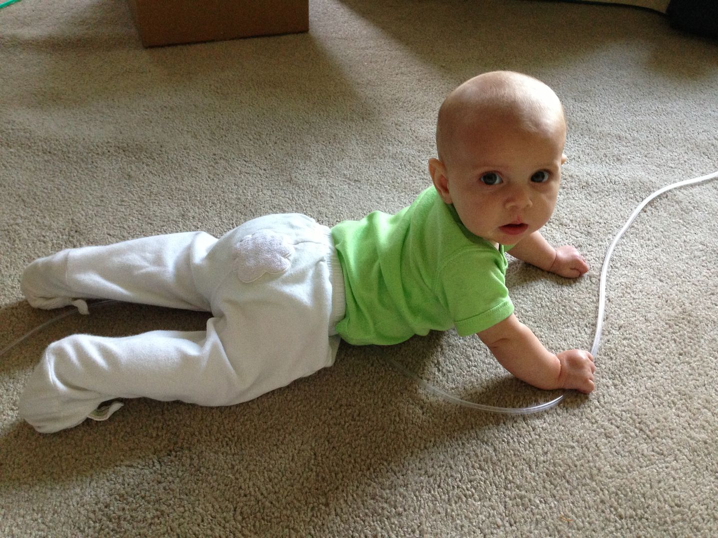  photo null_zpsb300f058.jpg