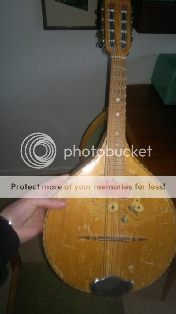 What kind of mandolin is this? The Acoustic Guitar Forum