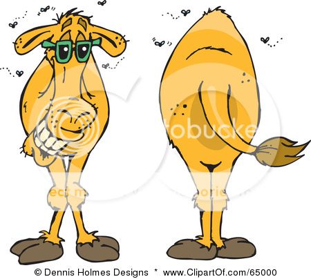 65000-Royalty-Free-RF-Clipart-Illustration-Of-Front-And-Back-Views-Of-A-Stinky-Camel.jpg