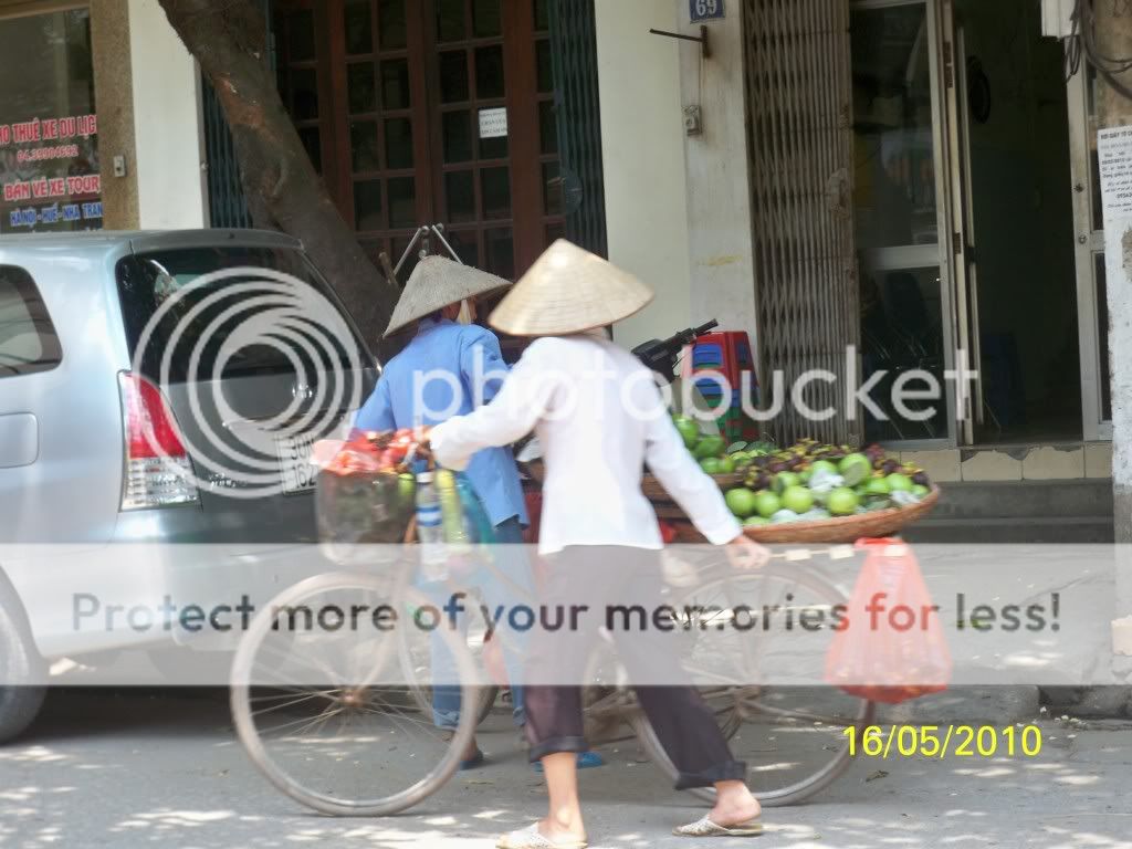 100_0345.jpg picture by quangthau